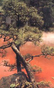 Листва оттеняет ослепительно оранжевый цвет геотермального озерца